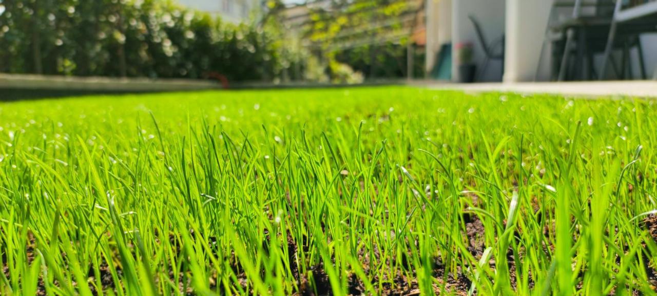 Apartment Denis Đảo Krk Ngoại thất bức ảnh